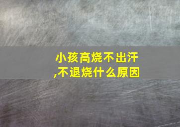 小孩高烧不出汗,不退烧什么原因