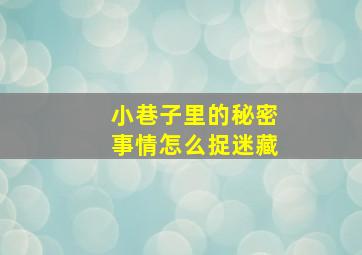 小巷子里的秘密事情怎么捉迷藏