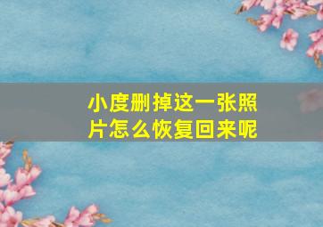 小度删掉这一张照片怎么恢复回来呢