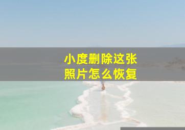 小度删除这张照片怎么恢复