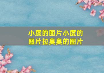 小度的图片小度的图片拉臭臭的图片