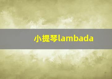 小提琴lambada