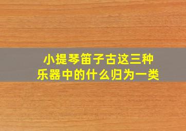 小提琴笛子古这三种乐器中的什么归为一类