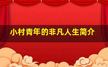 小村青年的非凡人生简介