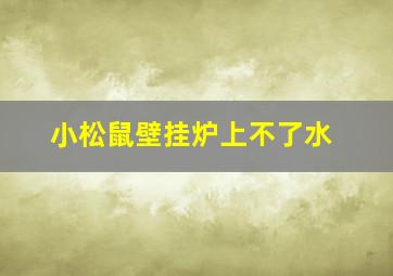 小松鼠壁挂炉上不了水