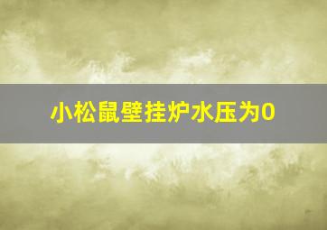 小松鼠壁挂炉水压为0