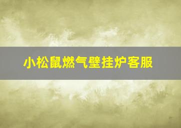 小松鼠燃气壁挂炉客服