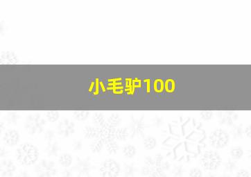 小毛驴100