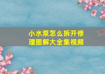 小水泵怎么拆开修理图解大全集视频