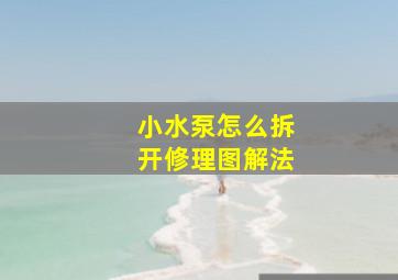 小水泵怎么拆开修理图解法