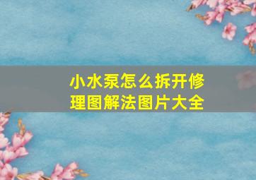 小水泵怎么拆开修理图解法图片大全