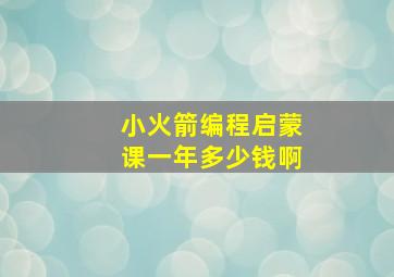 小火箭编程启蒙课一年多少钱啊