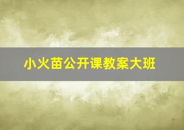 小火苗公开课教案大班