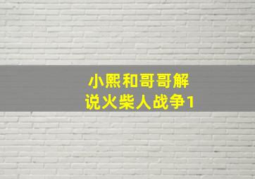 小熙和哥哥解说火柴人战争1