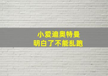 小爱迪奥特曼明白了不能乱跑