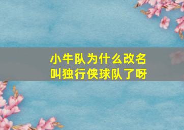 小牛队为什么改名叫独行侠球队了呀