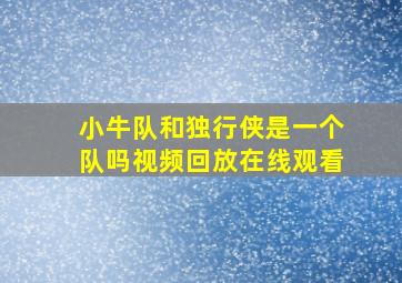 小牛队和独行侠是一个队吗视频回放在线观看