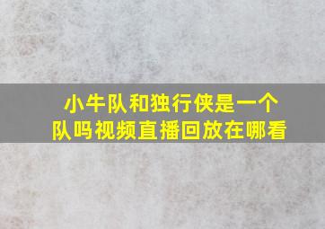 小牛队和独行侠是一个队吗视频直播回放在哪看