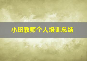 小班教师个人培训总结