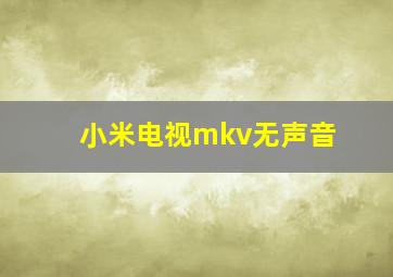 小米电视mkv无声音