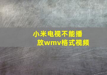 小米电视不能播放wmv格式视频