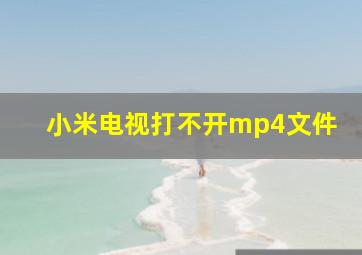 小米电视打不开mp4文件