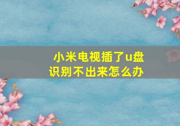 小米电视插了u盘识别不出来怎么办