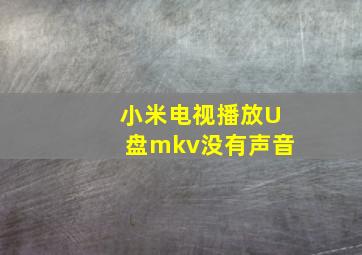 小米电视播放U盘mkv没有声音