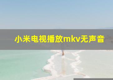 小米电视播放mkv无声音