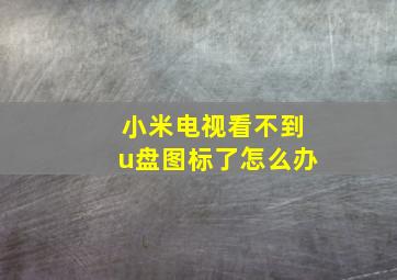 小米电视看不到u盘图标了怎么办