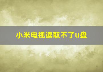 小米电视读取不了u盘