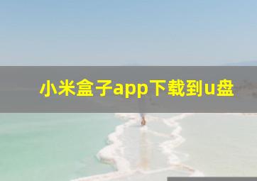 小米盒子app下载到u盘