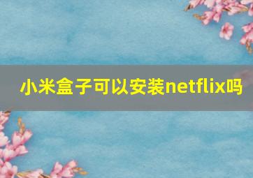 小米盒子可以安装netflix吗