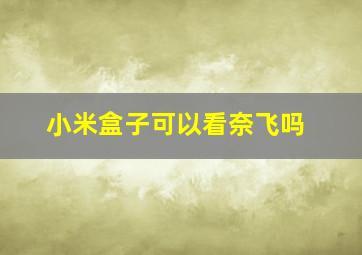 小米盒子可以看奈飞吗