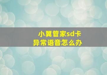 小翼管家sd卡异常语音怎么办