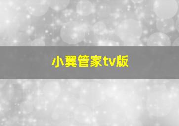 小翼管家tv版