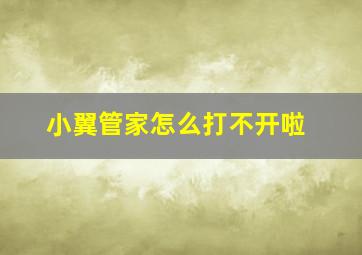 小翼管家怎么打不开啦