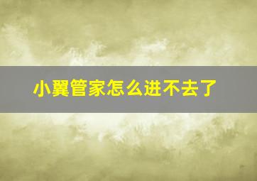 小翼管家怎么进不去了