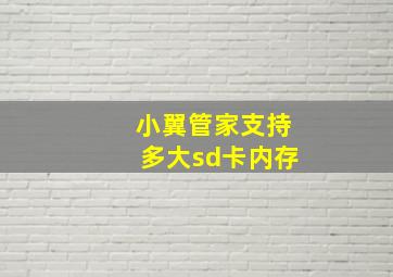 小翼管家支持多大sd卡内存