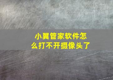 小翼管家软件怎么打不开摄像头了