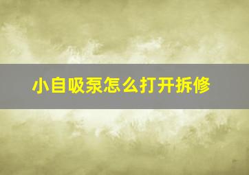 小自吸泵怎么打开拆修