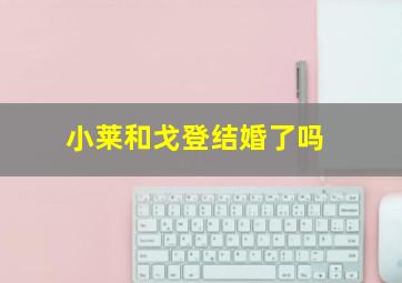 小莱和戈登结婚了吗