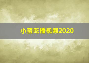 小蛮吃播视频2020