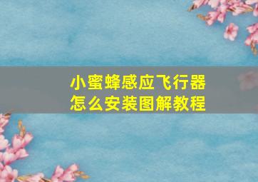 小蜜蜂感应飞行器怎么安装图解教程