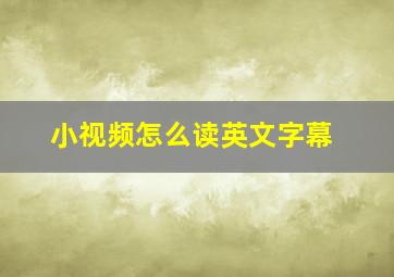 小视频怎么读英文字幕