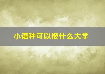 小语种可以报什么大学