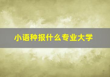 小语种报什么专业大学