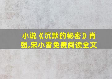 小说《沉默的秘密》肖强,宋小雪免费阅读全文