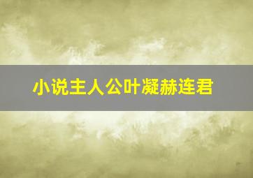 小说主人公叶凝赫连君