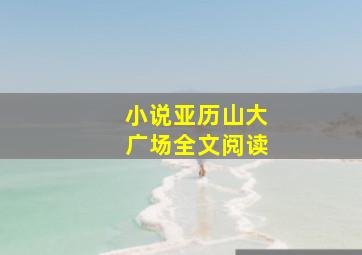 小说亚历山大广场全文阅读